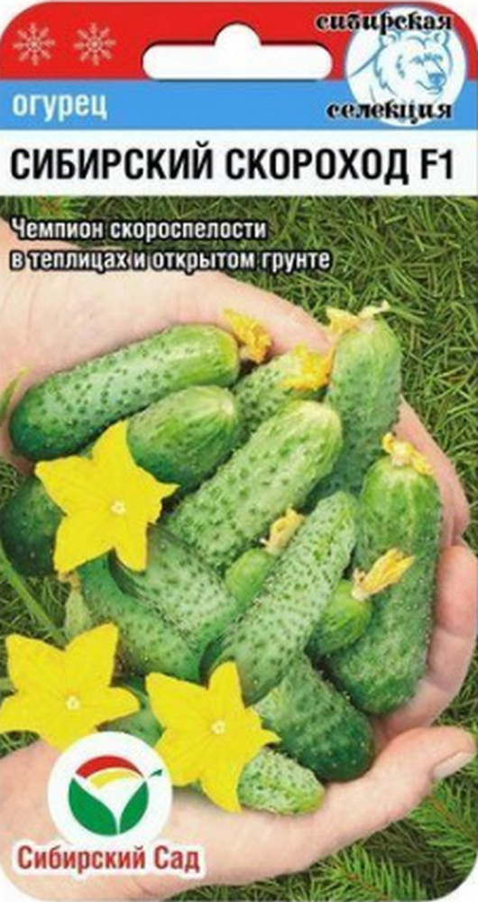 Огурец Сибирский Скороход F1, 7 шт. Сибирский сад