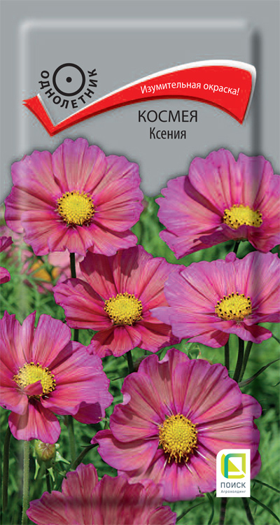 Космея Ксения, 10 шт.