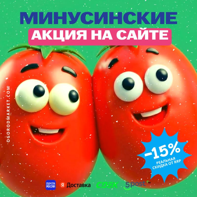 Минусинские томаты