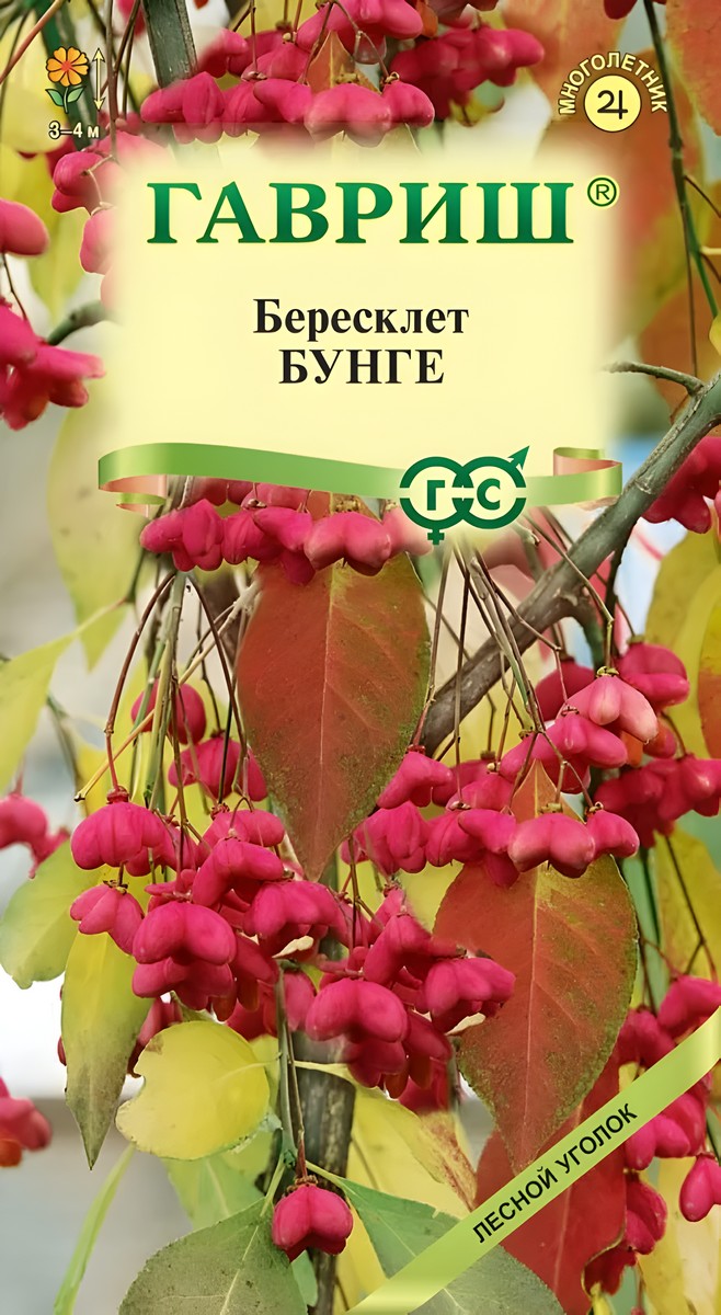 Бересклет Бунге, 0,2 г. Лесной уголок.