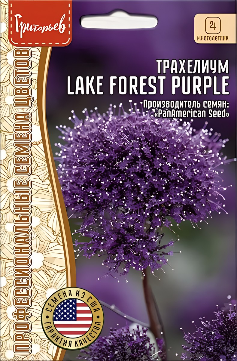 Трахелиум Lake Forest Purple (Озеро Лес фиолетовый), 3 шт. 