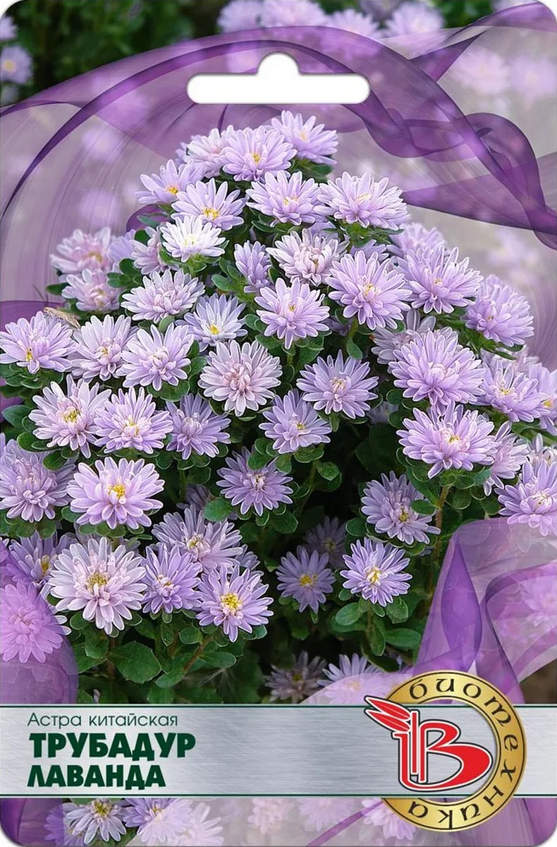 Астра китайская Трубадур Лаванда, 20 шт. Биотехника