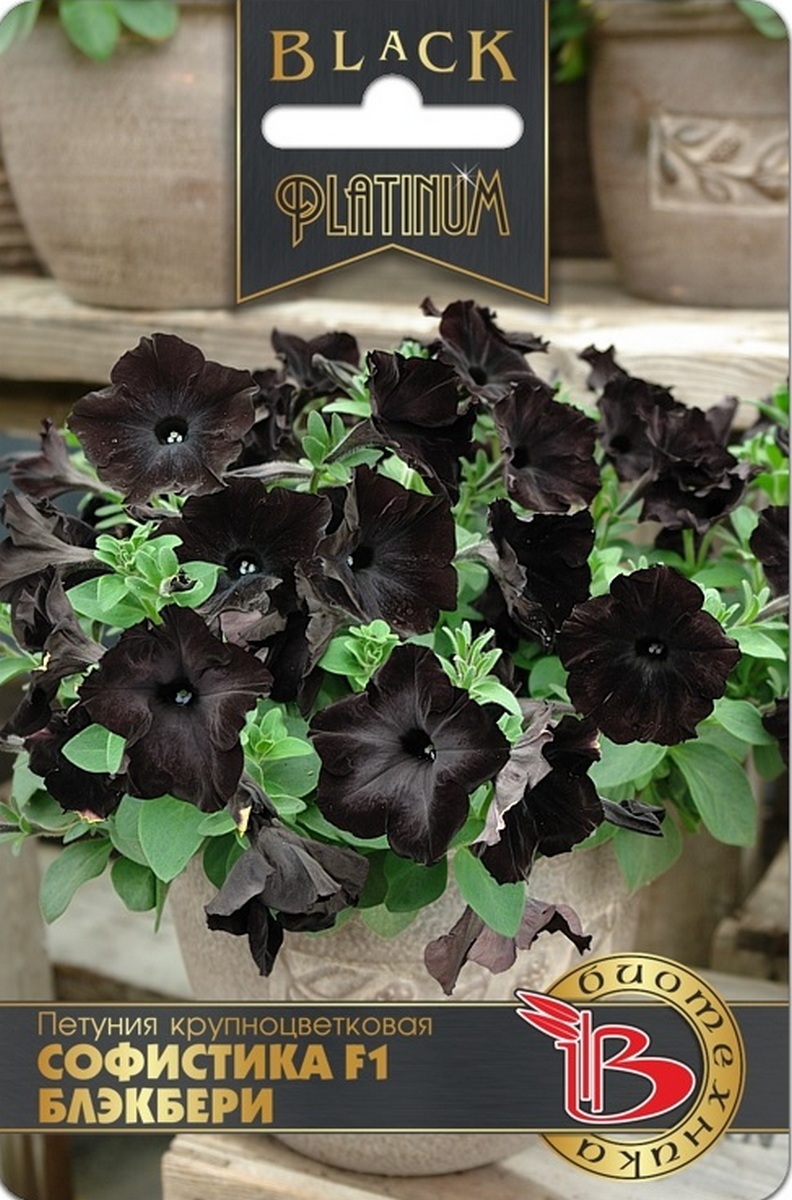 Петуния Софистика F1 Блэкбери, 6 шт. Black Platinum Биотехника