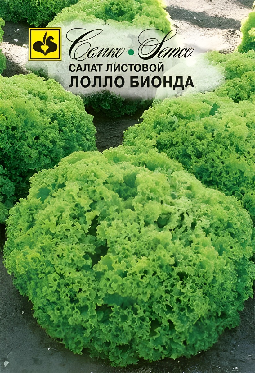 Салат Лолло Бионда, 1 г. Семко.