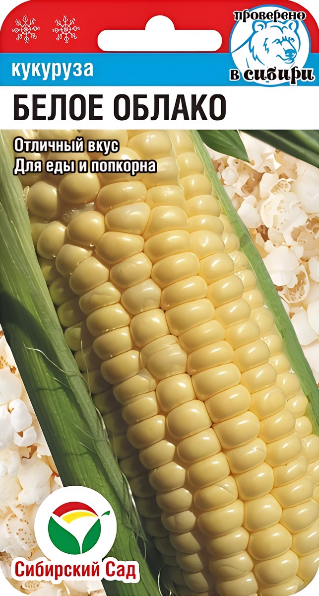 Кукуруза Белое Облако, 10 шт. Сибирский сад.