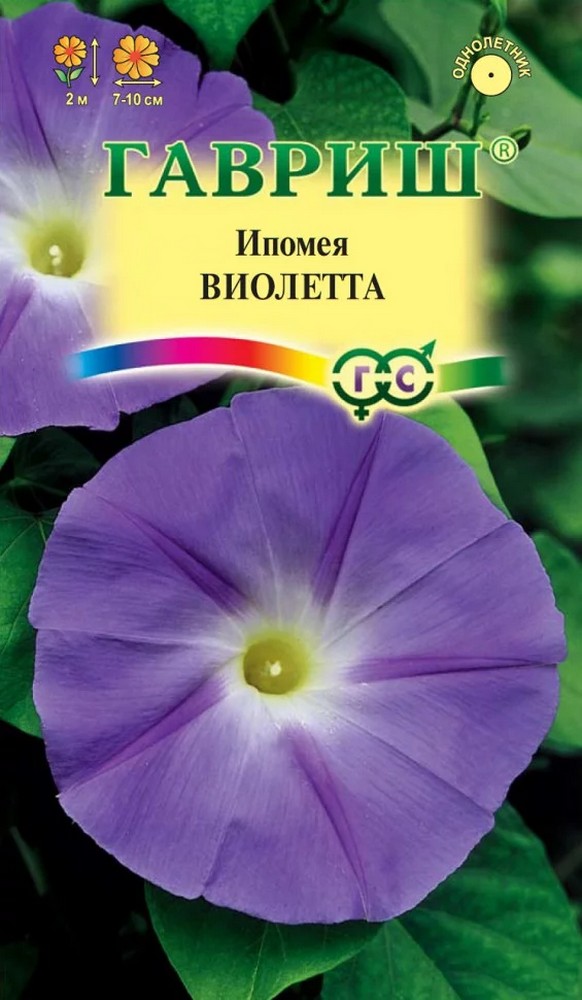 Ипомея Виолетта, 0,5 г 