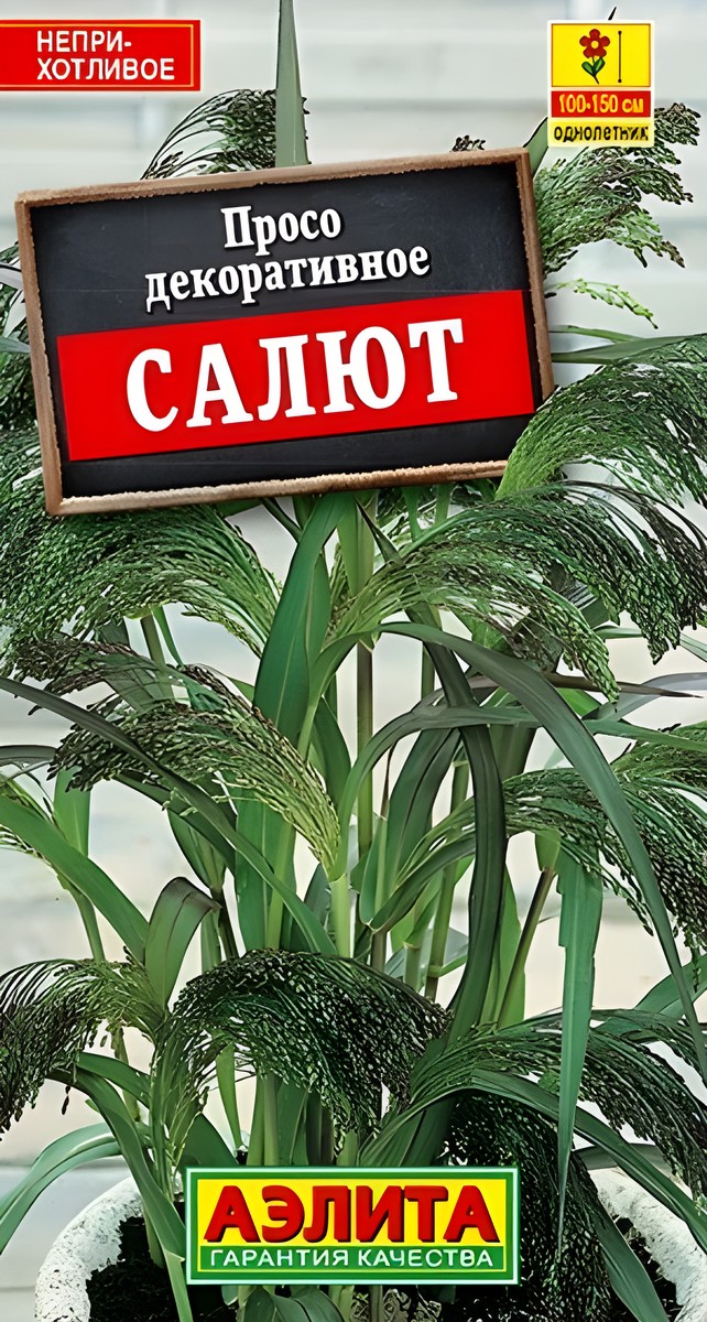 Просо декоративное Салют, 0,5 г