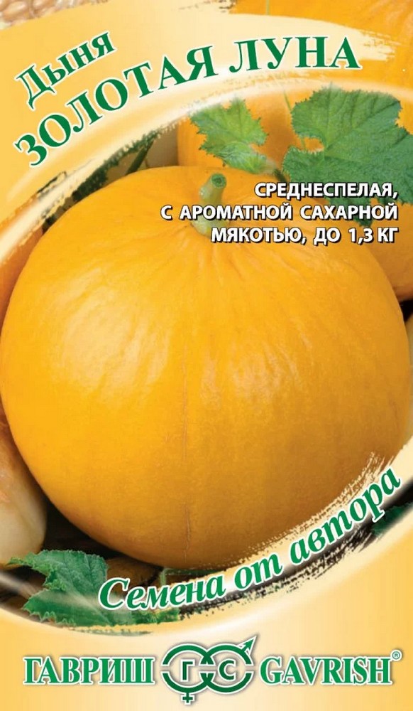 Дыня Золотая Луна, 1 г. Авторские семена.