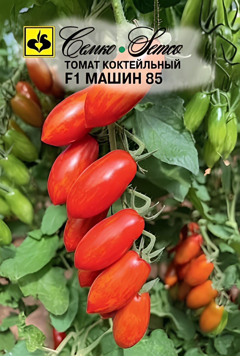 Томат Машин 85 F1, коктельный, 5 шт.