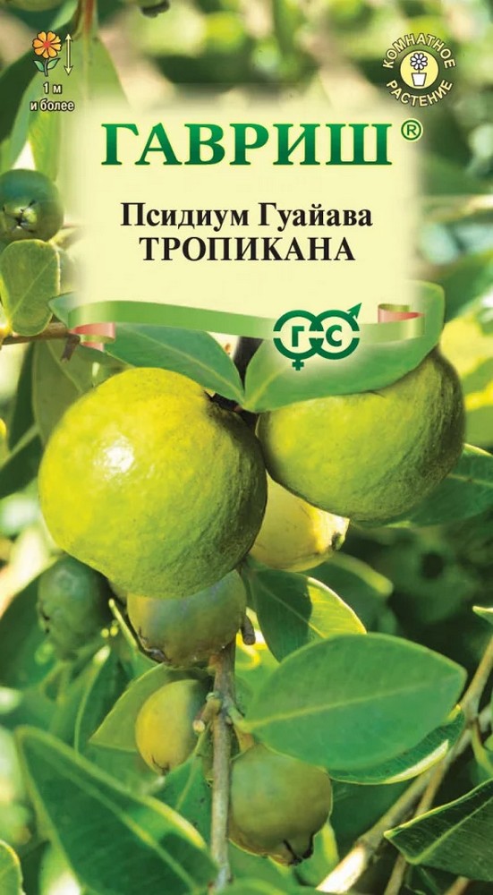 Гуайава Тропикана, 0,2 г