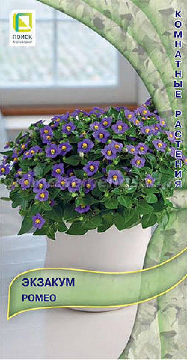 Экзакум Ромео, 5 шт.