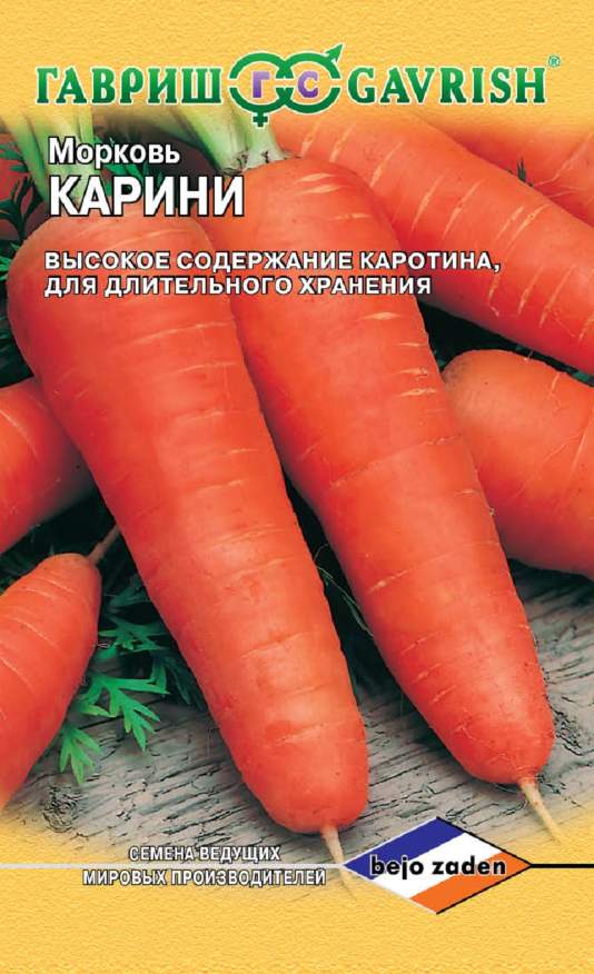 Морковь Карини, 150 шт. Голландия.
