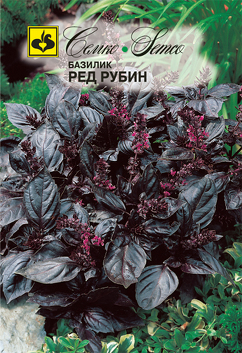 Базилик Ред рубин, 1 г. Семко.