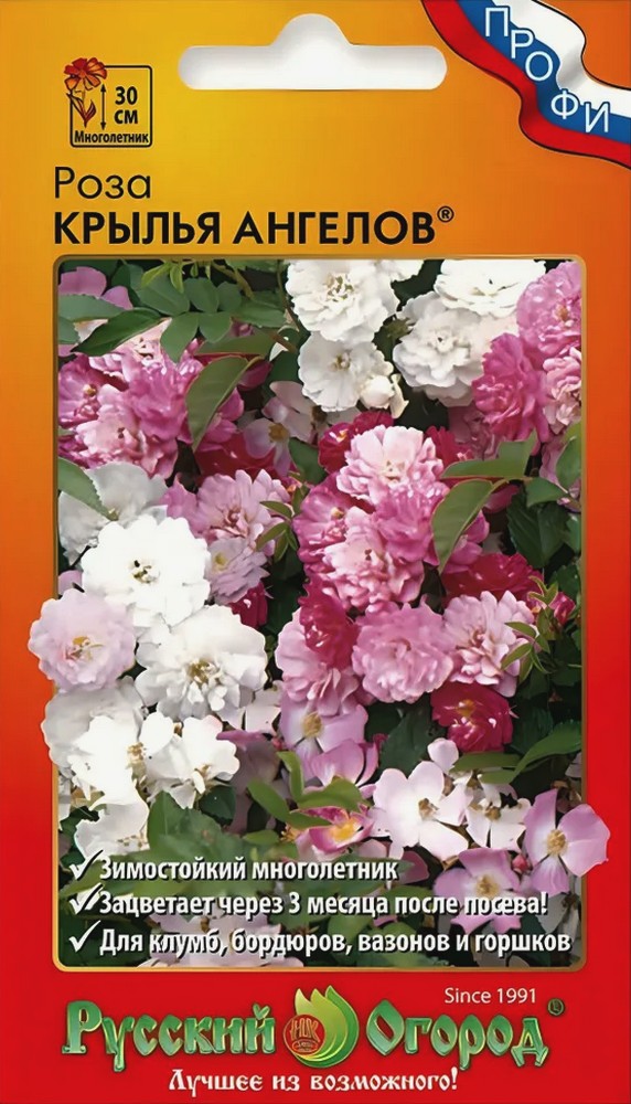 Роза Крылья Ангелов, 10 шт. Русский огород