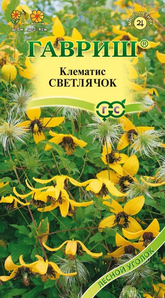 Клематис пильчатолистный Светлячок, 0,05 г. Лесной уголок.