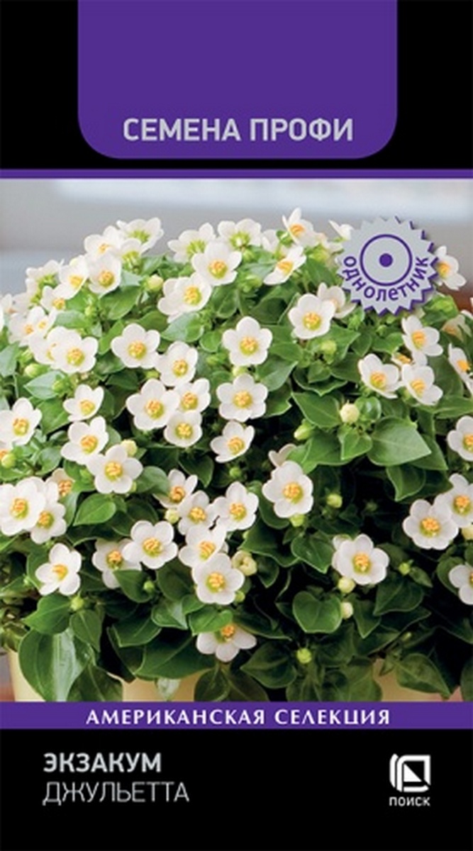 Экзакум Джульетта, 5шт. Семена Профи