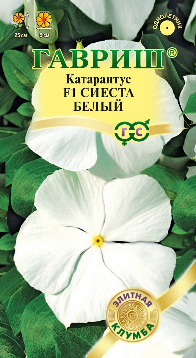 Катарантус Сиеста белый F1, 5 шт. 