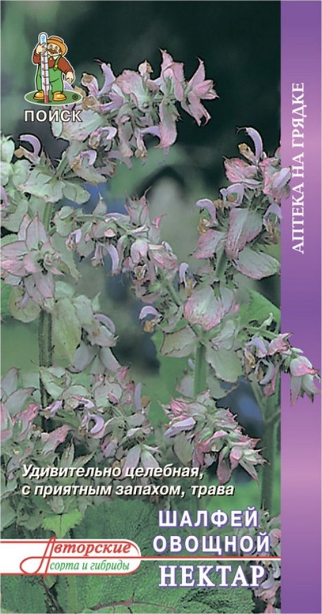 Шалфей овощной Нектар, 0,5 г Аптека на грядке