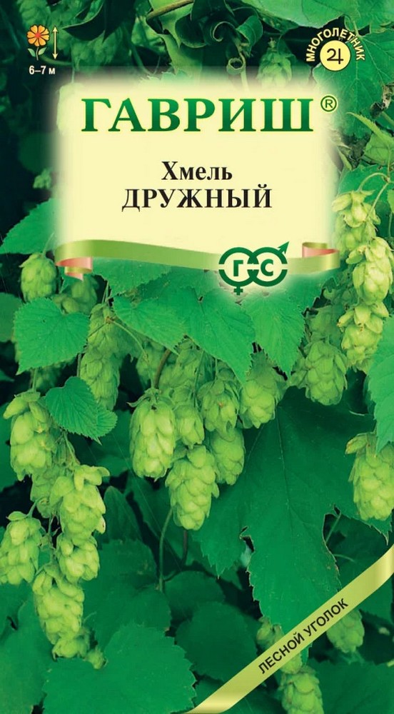 Хмель обыкновенный Дружный, 0,1 г