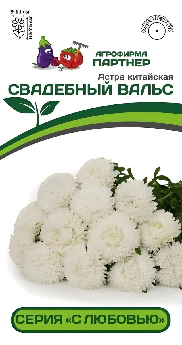 Астра китайская Свадебный Вальс, 5 шт. С любовью 
