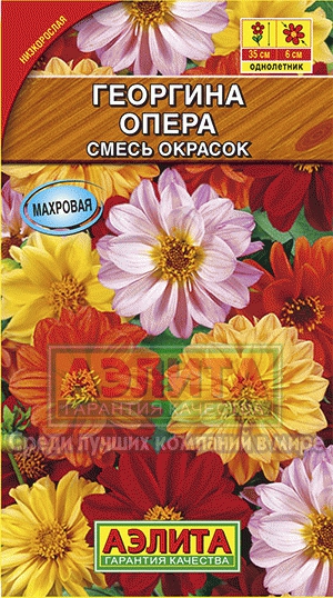 Георгина Опера, смесь окрасок, 7 шт. *