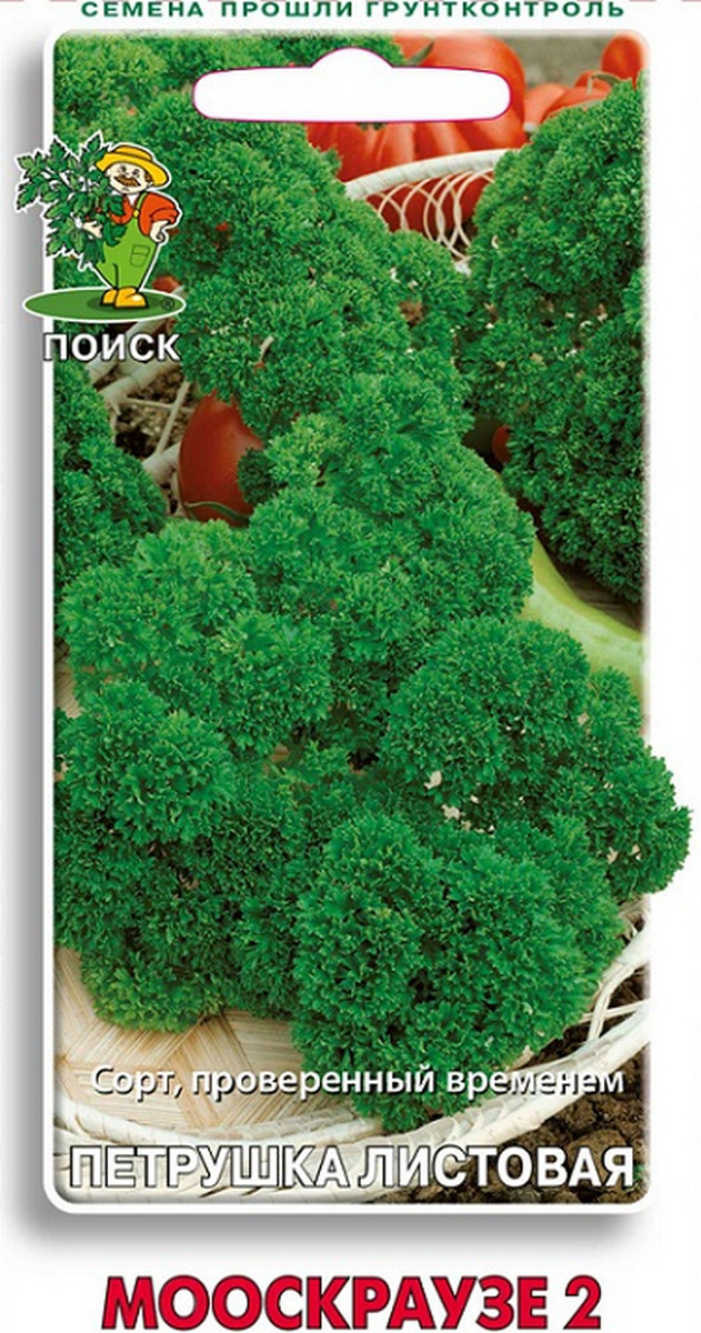 Петрушка кудрявая Мооскраузе 2, 3 г