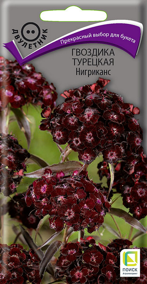 Гвоздика Турецкая Нигриканс, 0,3 г