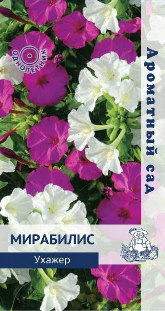 Мирабилис Ухажер, 2 г Ароматный сад