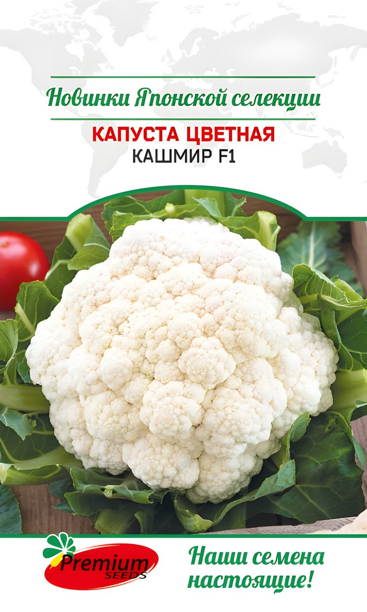 Капуста цветная Кашмир F1, 7 шт. Саката