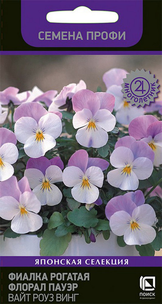 Фиалка рогатая Флорал Пауэр Вайт Роуз Винг, 10 шт.