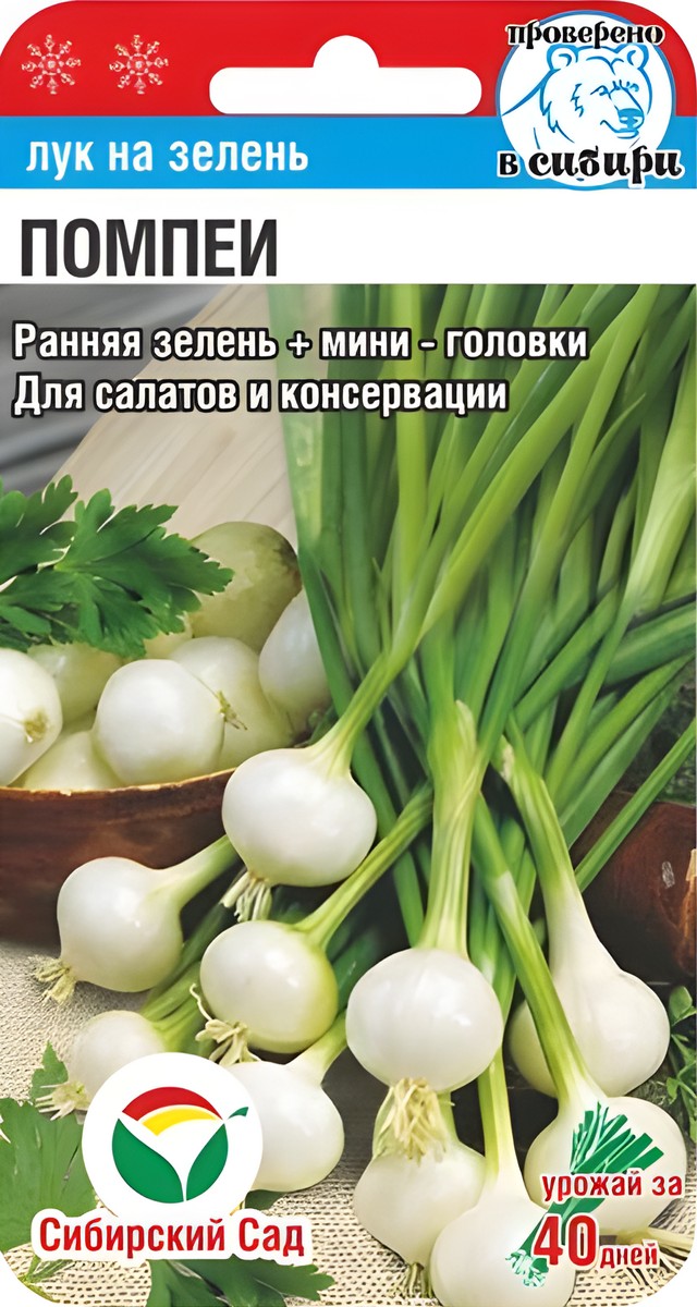 Лук на зелень Помпеи, 0,5 г. Сибирский сад