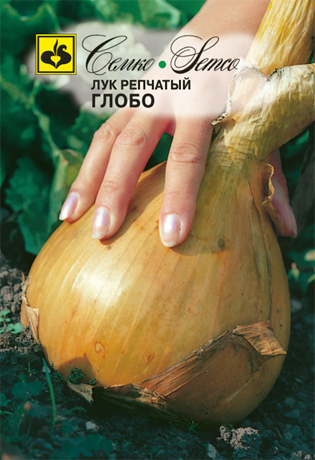 Лук репчатый Глобо, 0,5 г