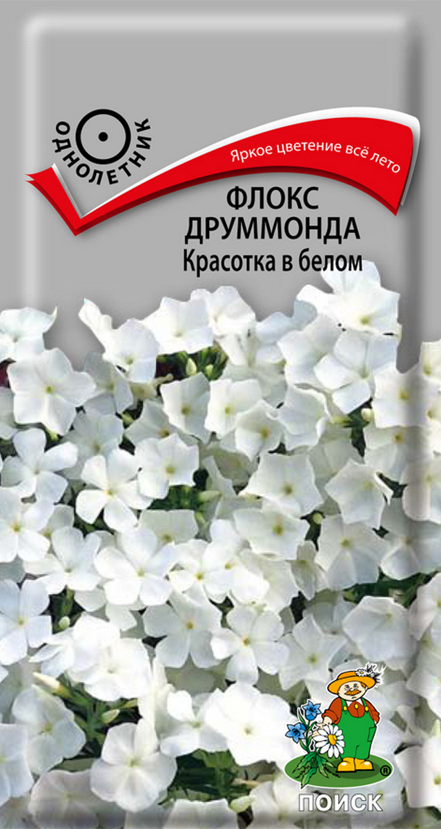 Флокс друммонда Красотка в белом, 0,1 г