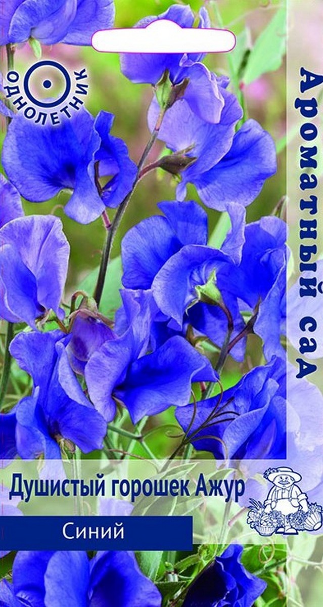 Душистый горошек Ажур Синий, 2 г Ароматный сад