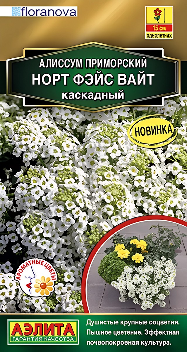 Алиссум каскадный Норт фэйс вайт, 12 шт.