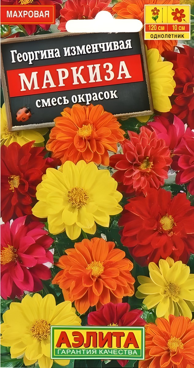 Георгина изменчивая Махровая Маркиза смесь окрасок, 10 шт. 