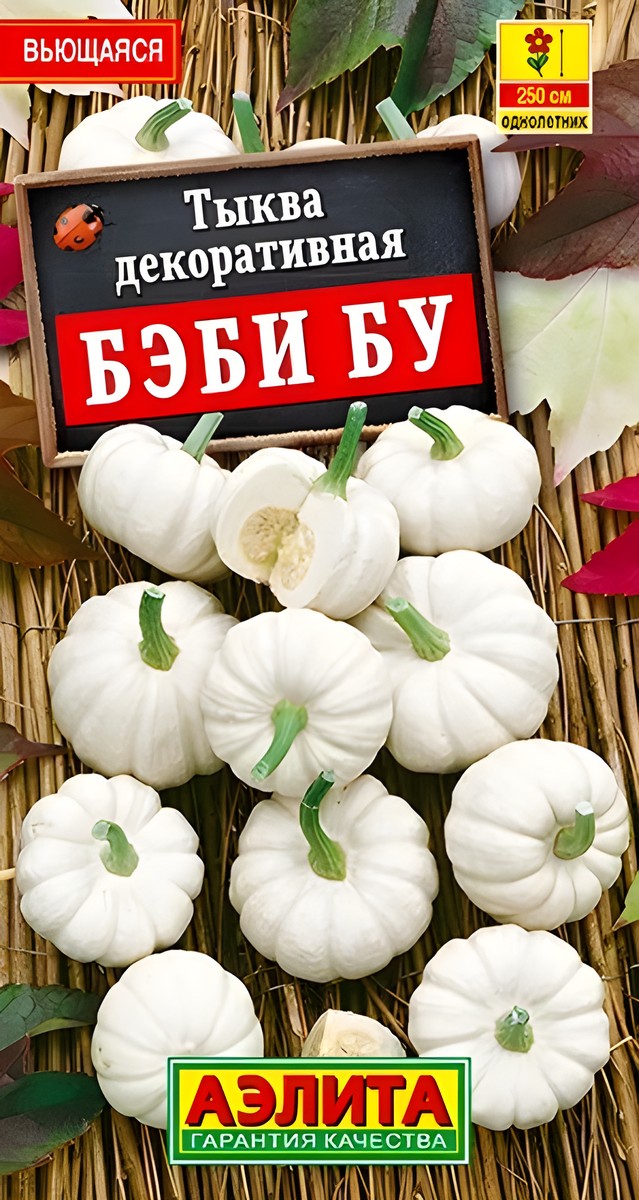 Тыква декоративная Бэби бу, 0,5 г