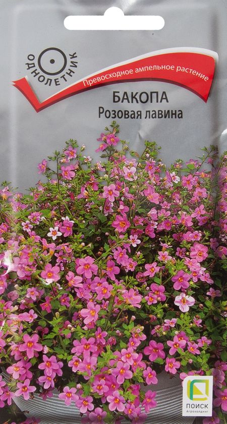 Бакопа Розовая лавина, 5 шт.