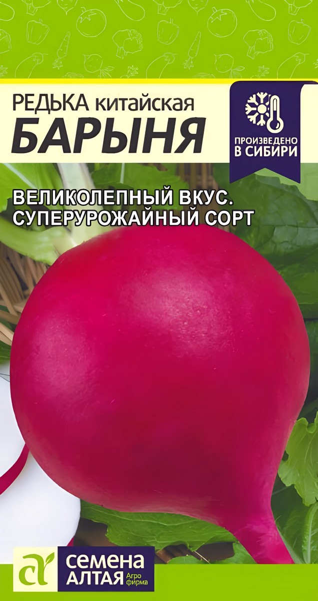 Редька Барыня Зимняя, красная, 1 г. 