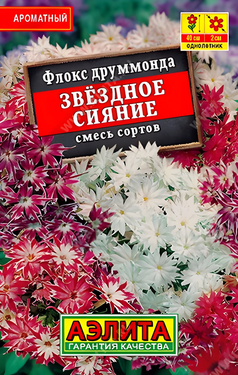 Флокс друммонда Звездное сияние, смесь сортов, 0,1 г