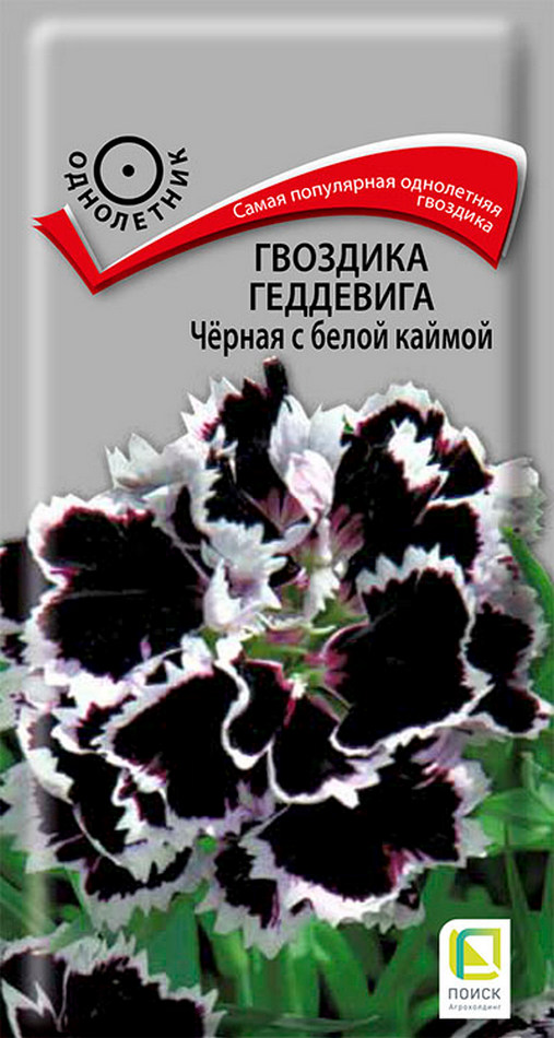 Гвоздика Геддевига Чёрная с белой каймой, 0,04 г