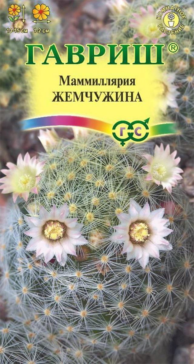 Маммиллярия шейдвелардиана Жемчужина, 2 шт.