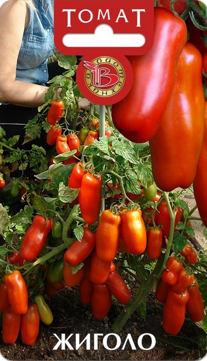 Томат Жиголо, 20 шт. Биотехника