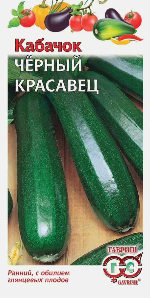 Кабачок Черный красавец, 2 г