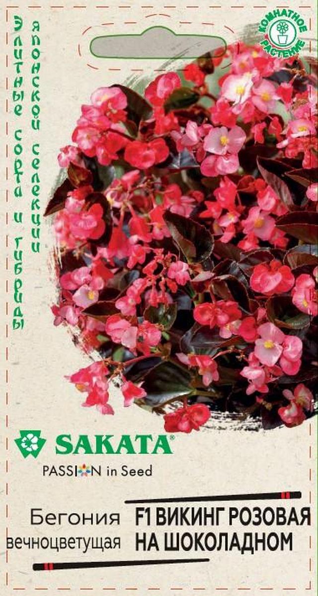 Бегония вечноцветущая Викинг Розовая на шоколадном F1, 4 шт. Саката.