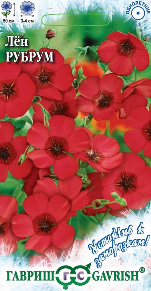 Лен крупноцветковый Рубрум, 0,2 г. Устойчив к заморозкам.