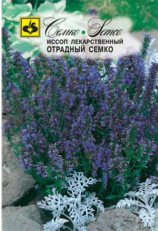 Иссоп Отрадный Семко, 0,2 г
