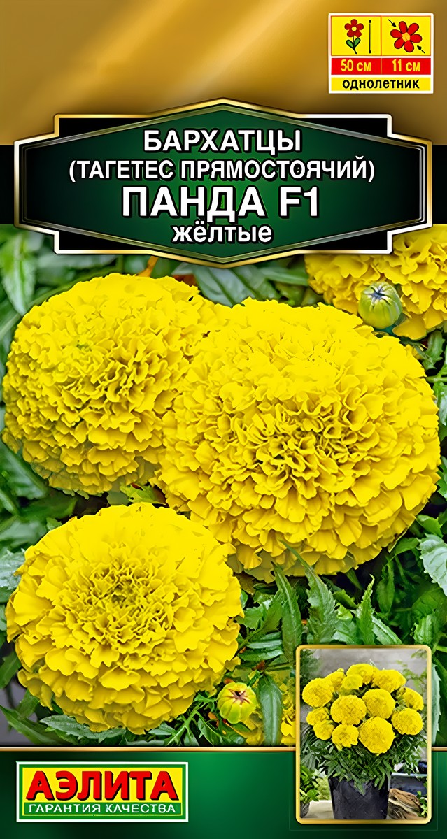 Бархатцы Панда F1 желтые прямостоячие, 7 шт.