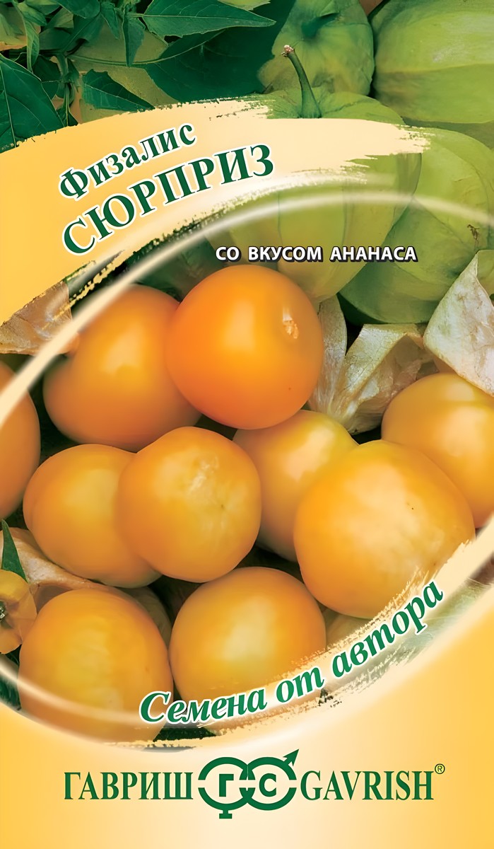 Физалис изюмный Сюрприз, 20 шт. Авторские семена.