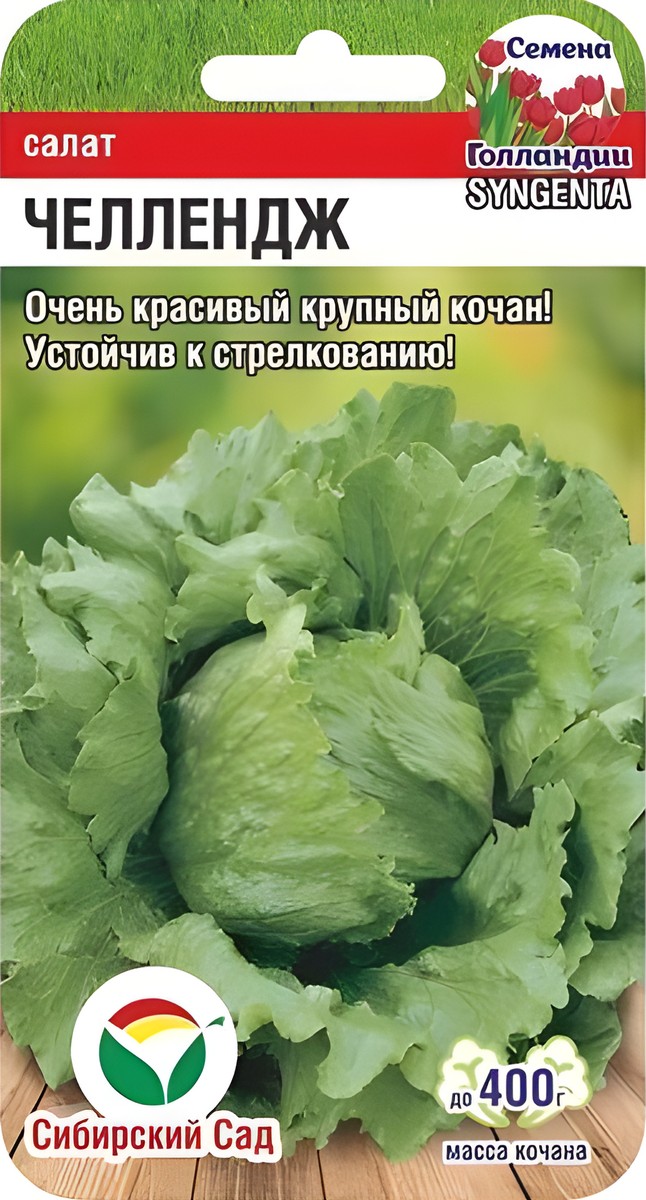 Салат Челлендж, 10 шт. Семена Голландии. Сибирский сад